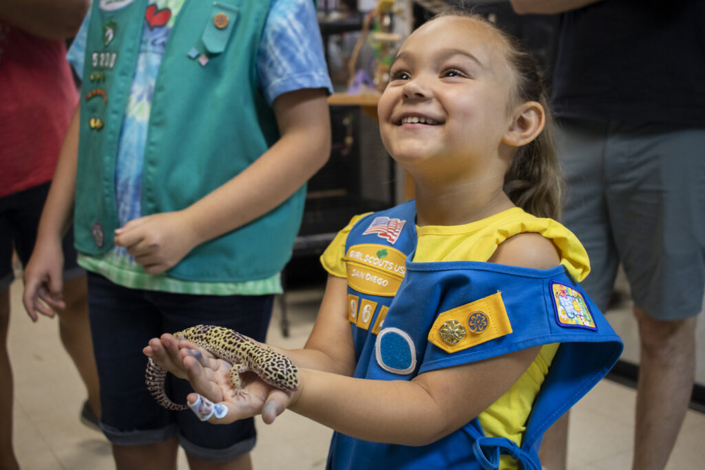 A Daisy scout in her blue vest and yellow shirt is smiling as she holds a yellow and black spotted gecko.